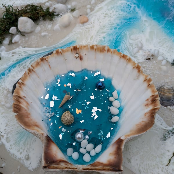 Hanging Shell With Resin Rockpool
