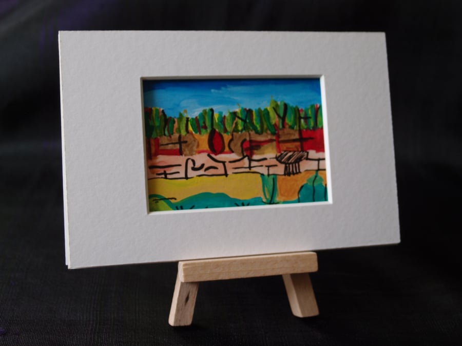 Fitzroy Falls, NSW Australia