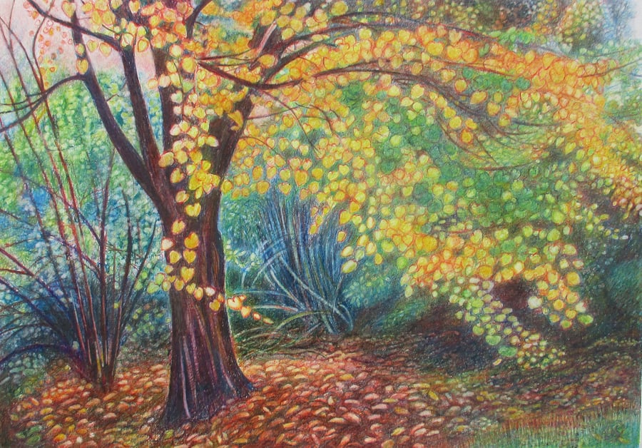 Katsura Tree - Coloured Pencil over Wax Crayon Drawing