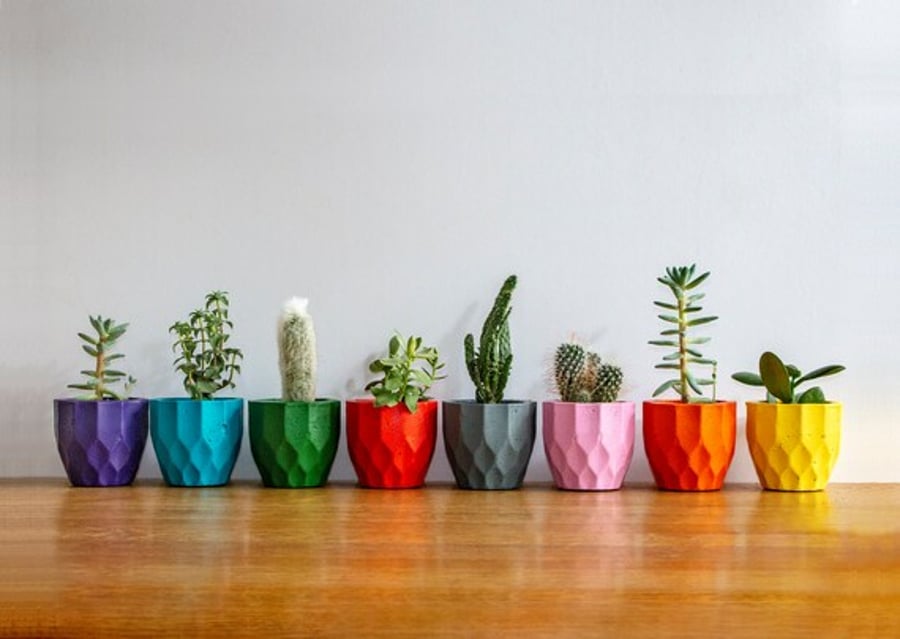 concrete cast colorful planters