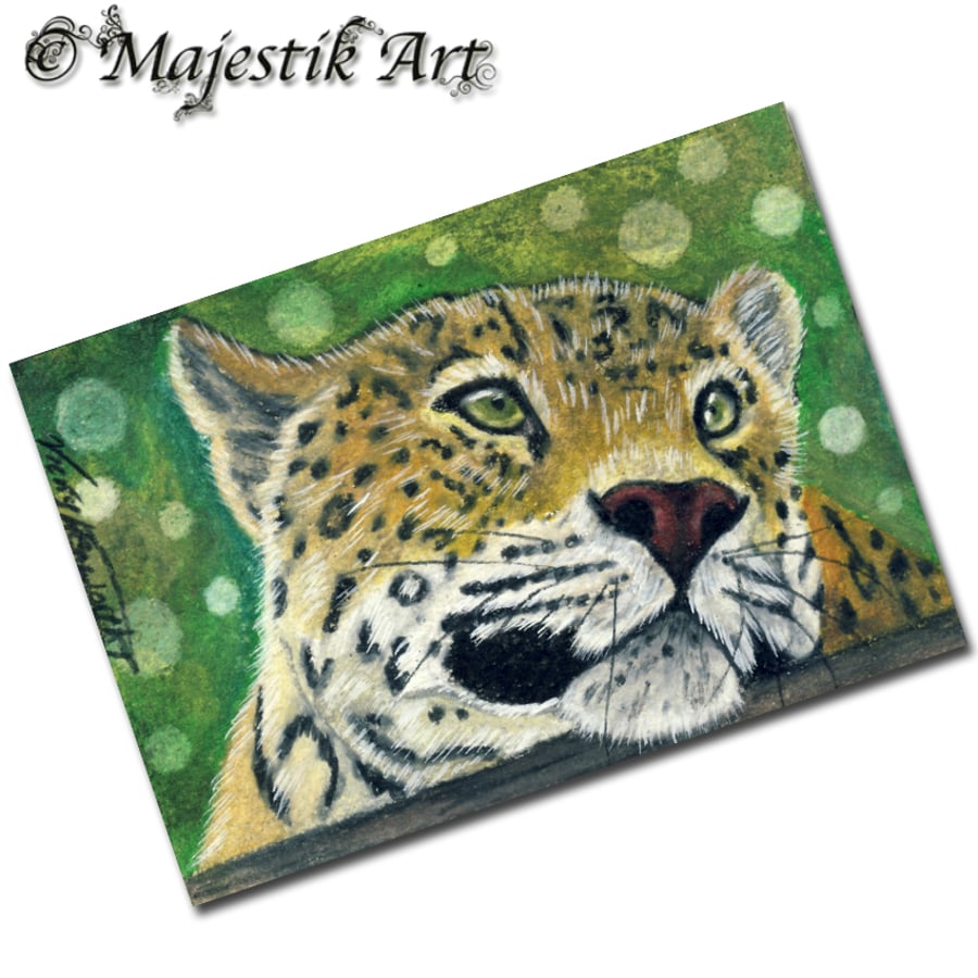 Archival ACEO Jaguar 'Distance' By V Kenworthy