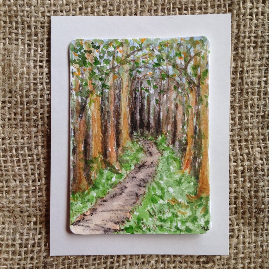 'Track Through The Woods' original watercolour ACEO 