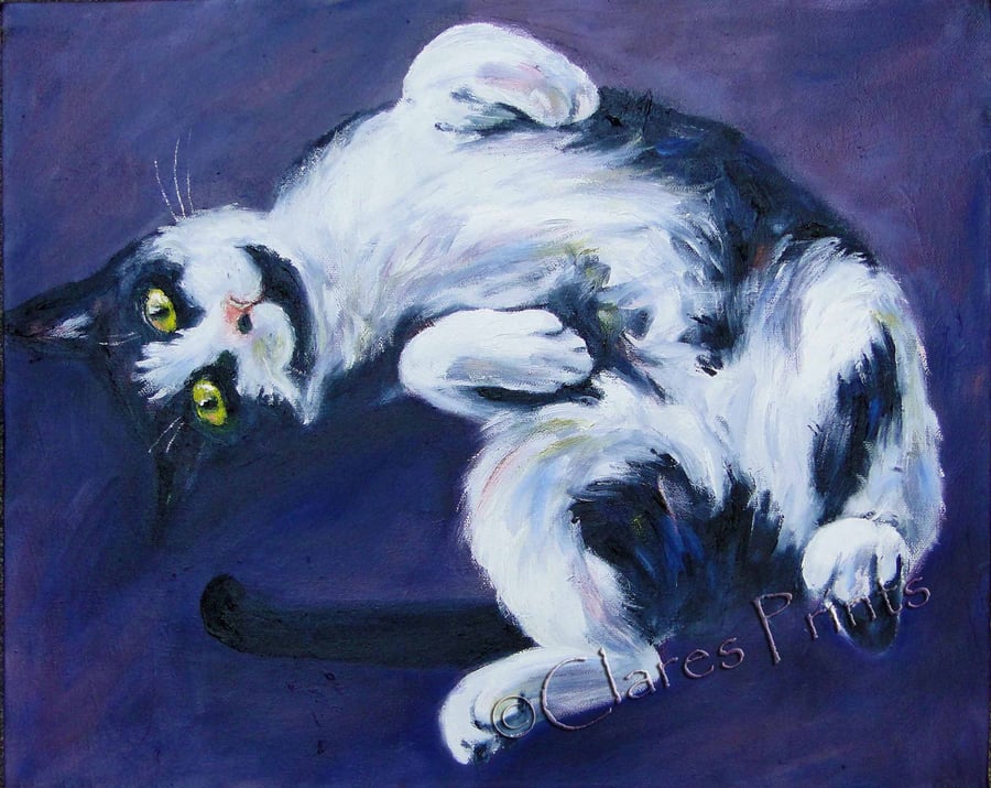 Animal Art Tranquil Cat Original Oil Painting on Canvas OOAK