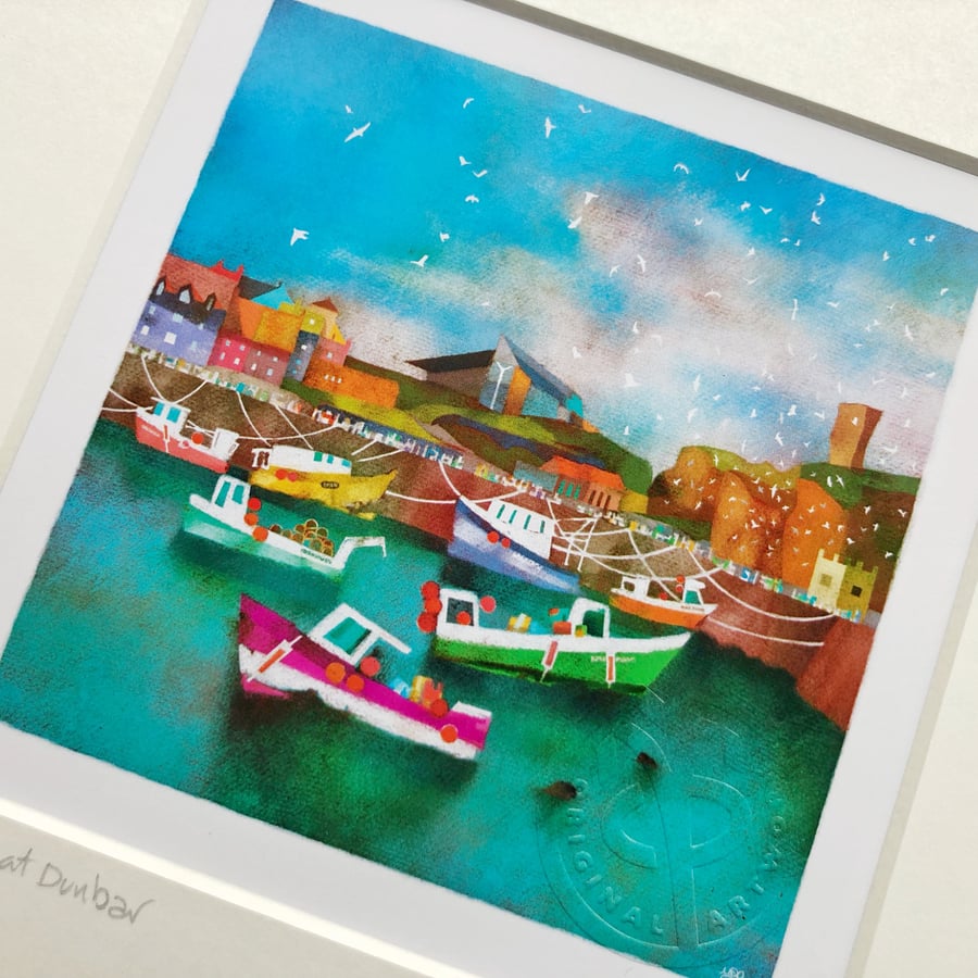 Kittiwakes at Dunbar. Size 1