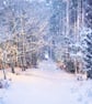 Shouldham Woods Snow Norfolk Christmas Greeting Card A5