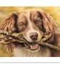 Happy Spaniel pastel, Giclée unframed open edition print ,'Picking up Sticks'