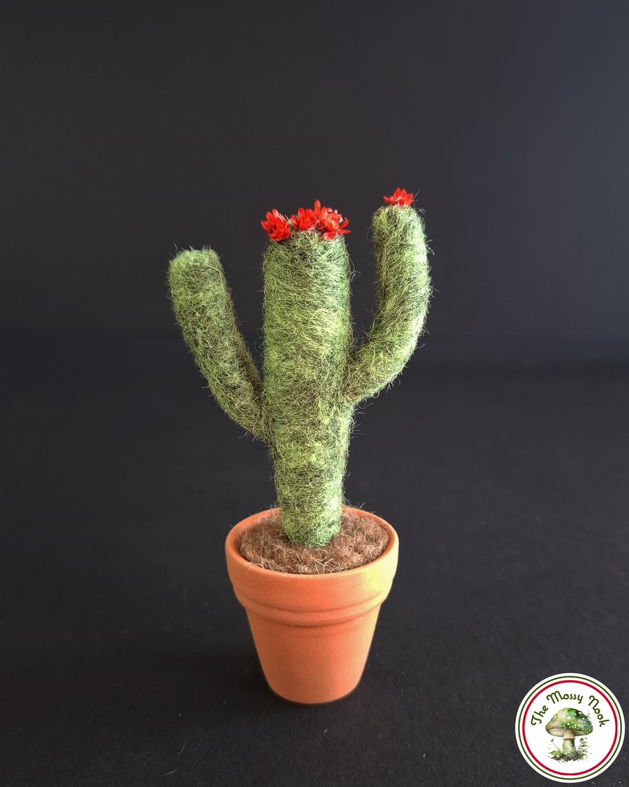 Desert Cactus. Needle Felted with Wool Fibres. Red Flowers. Real Pot. 