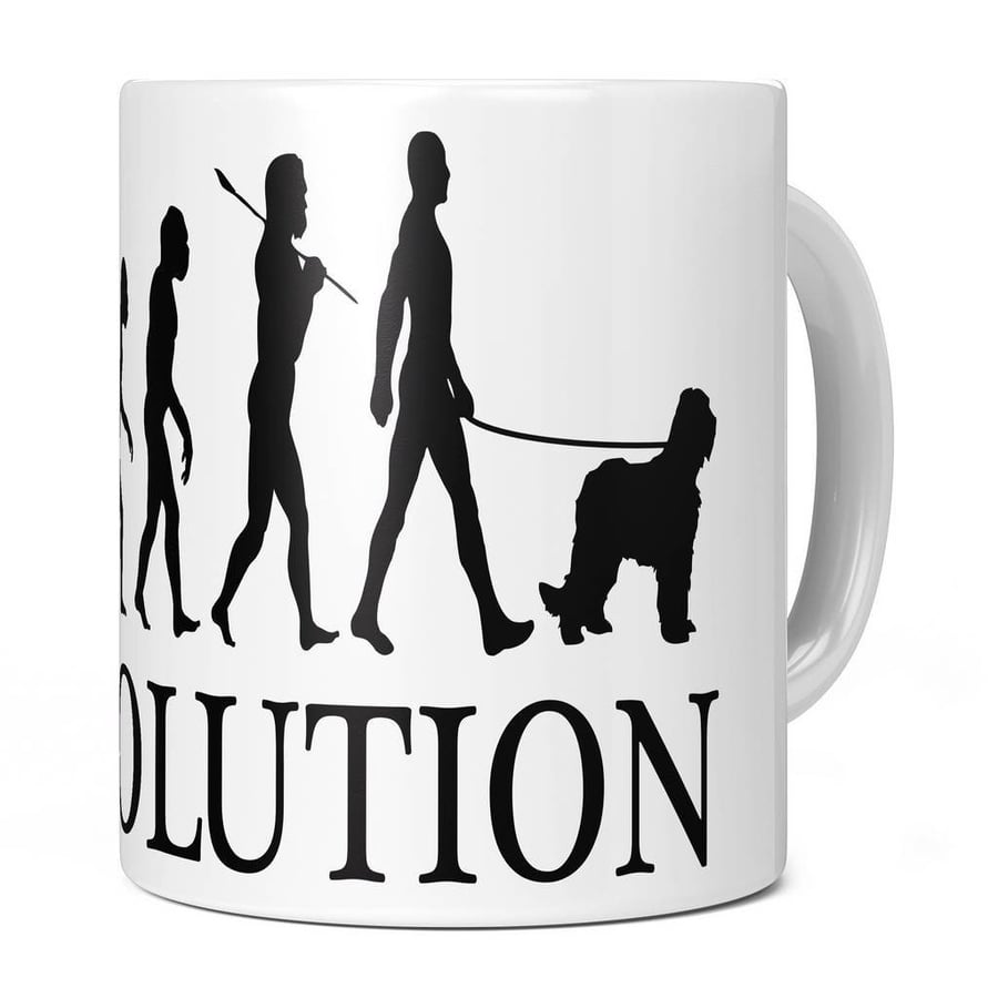 Briard Evolution 11oz Coffee Mug Cup - Perfect Birthday Gift for Him or Her Pres