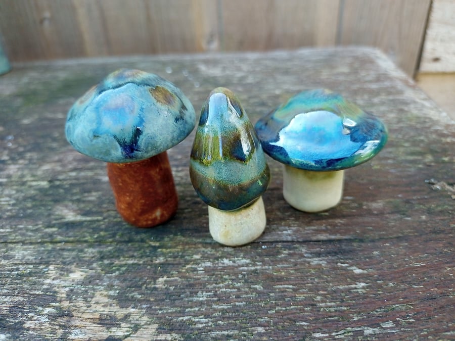 Mushroom trio