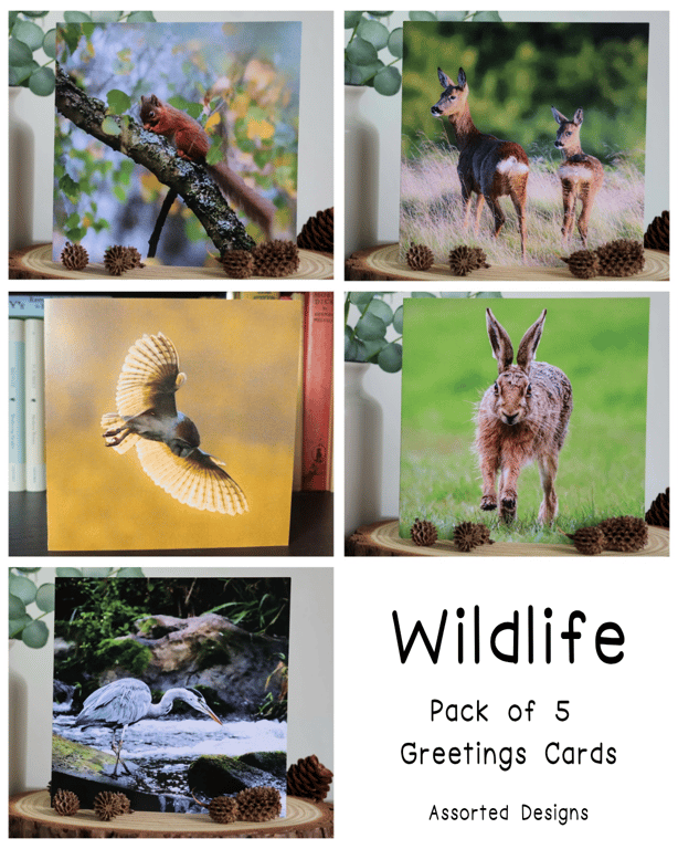 Wildlife - Pack of 5 Greetings Cards - Assorted Designs