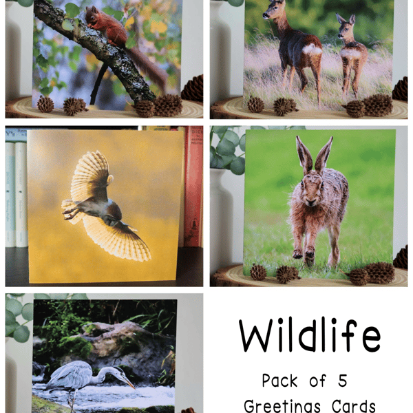 Wildlife - Pack of 5 Greetings Cards - Assorted Designs