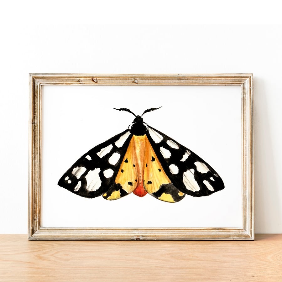 Cream Spotted Tiger A5 Inkjet Print