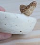 Very small ceramic ring dish with mini wren - Image 5