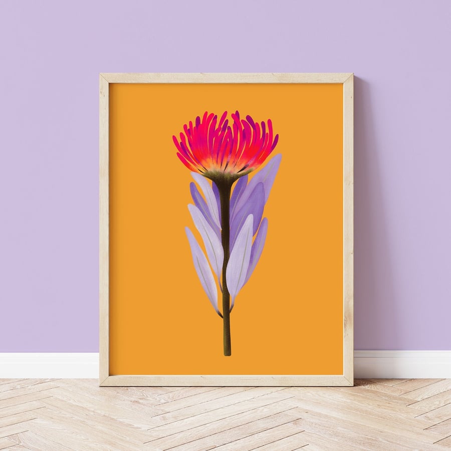 Flame Protea Botanical Art Print 