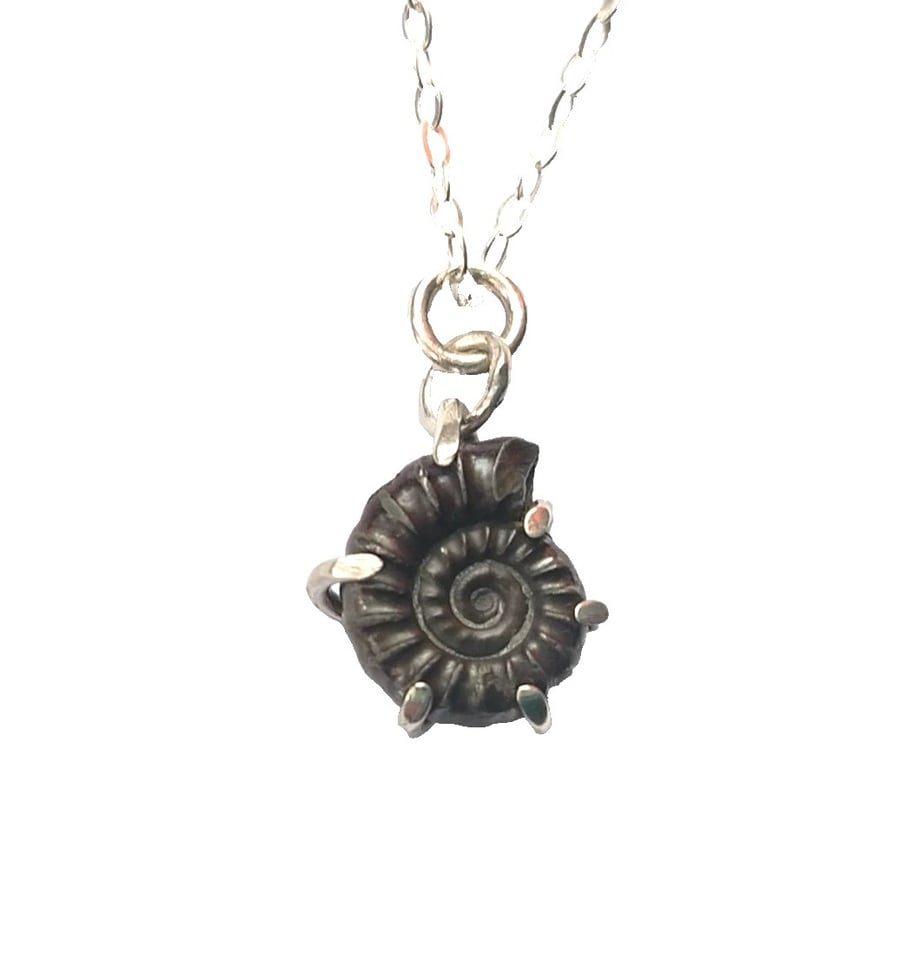 Pyrite Ammonite Fossil Necklace Recycled Sterling Silver Jewellery Gift in Box