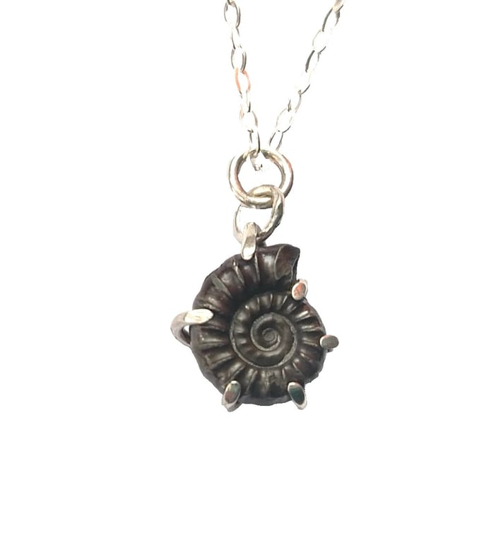 Pyrite Ammonite Fossil Necklace Recycled Sterling Silver Jewellery Gift in Box