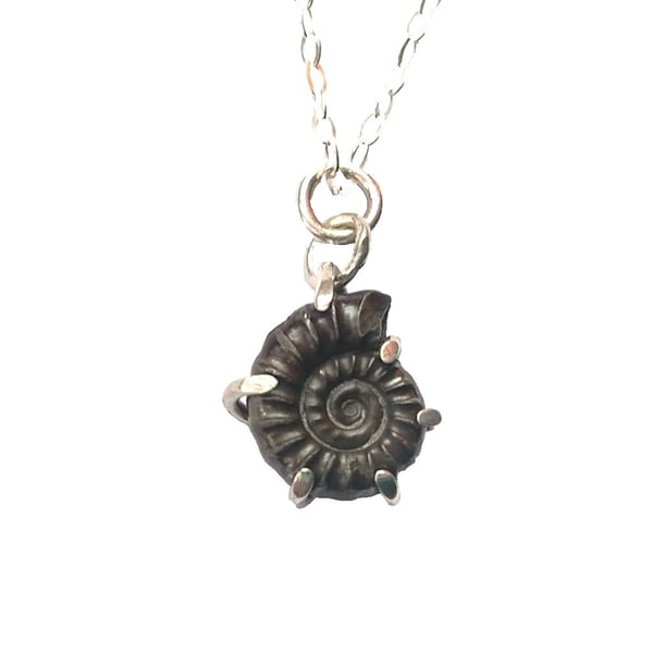 Pyrite Ammonite Fossil Necklace Recycled Sterling Silver Jewellery Gift in Box