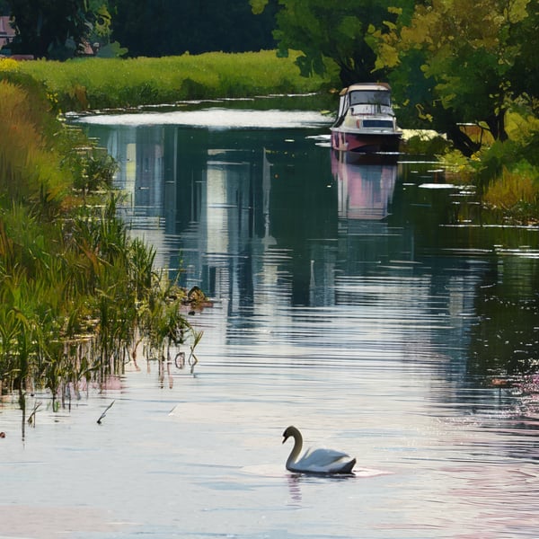 Swan & Boats on Norfolk Fen A5 Greeting Card 