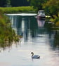 Swan & Boats on Norfolk Fen A5 Greeting Card  - Image 1