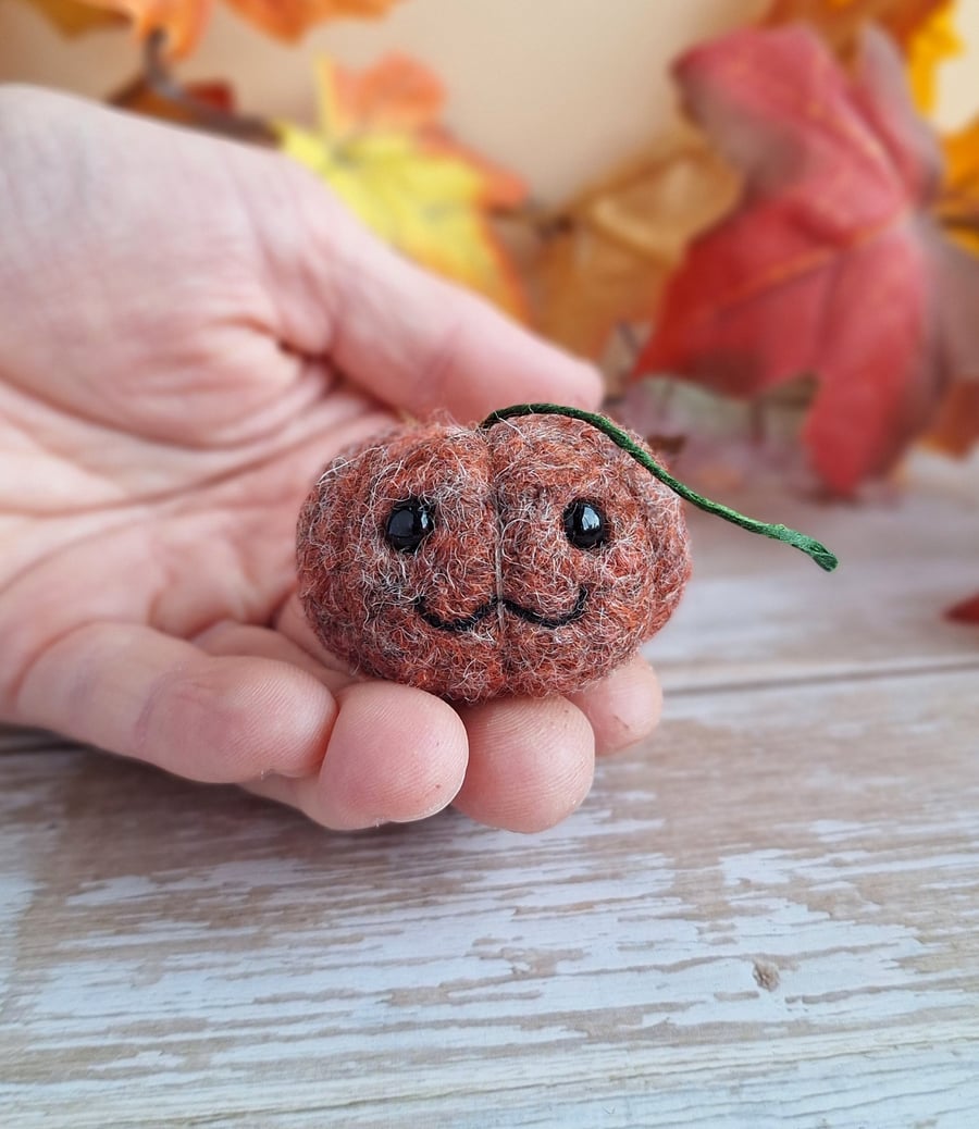 Lil' Pumpkins - Russet