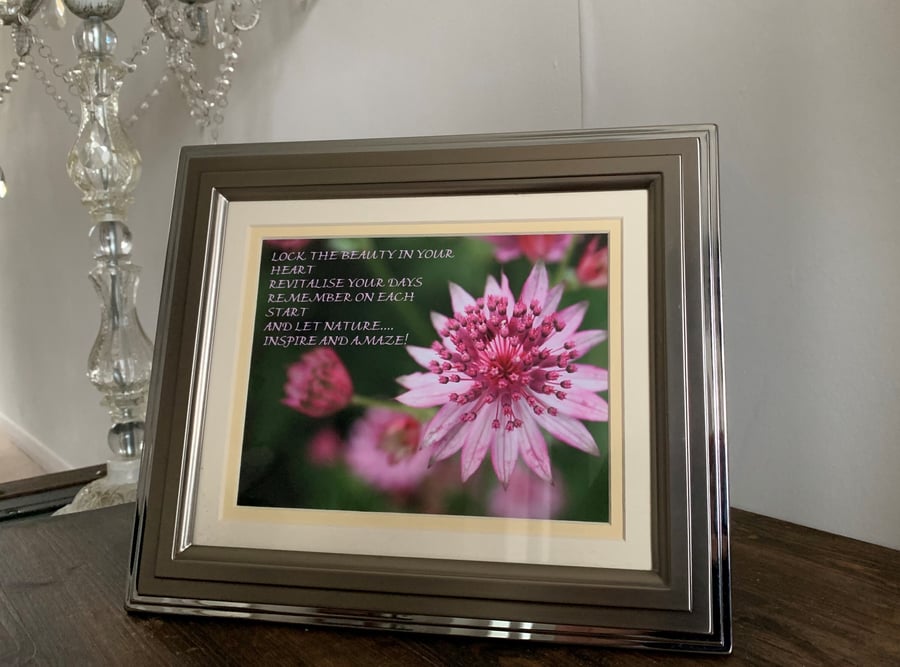 Art in a Silver Frame, Words by Bindi Sandhu, Photograph by Dennis Myers