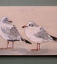 Seagulls on ice - Image 2