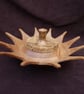 LIDDED STAR DISH CARVED CONTAINER - Image 1