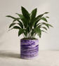  Extra Large Purple Marbled Plant Pot - Violet and Lilac Unique Planter