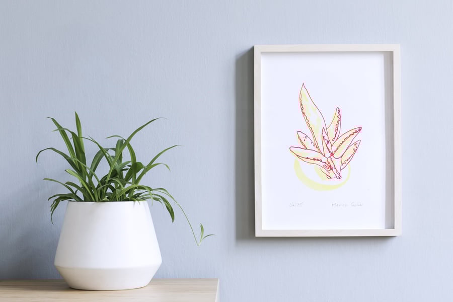 Aloe Succulent - A5 screen Print