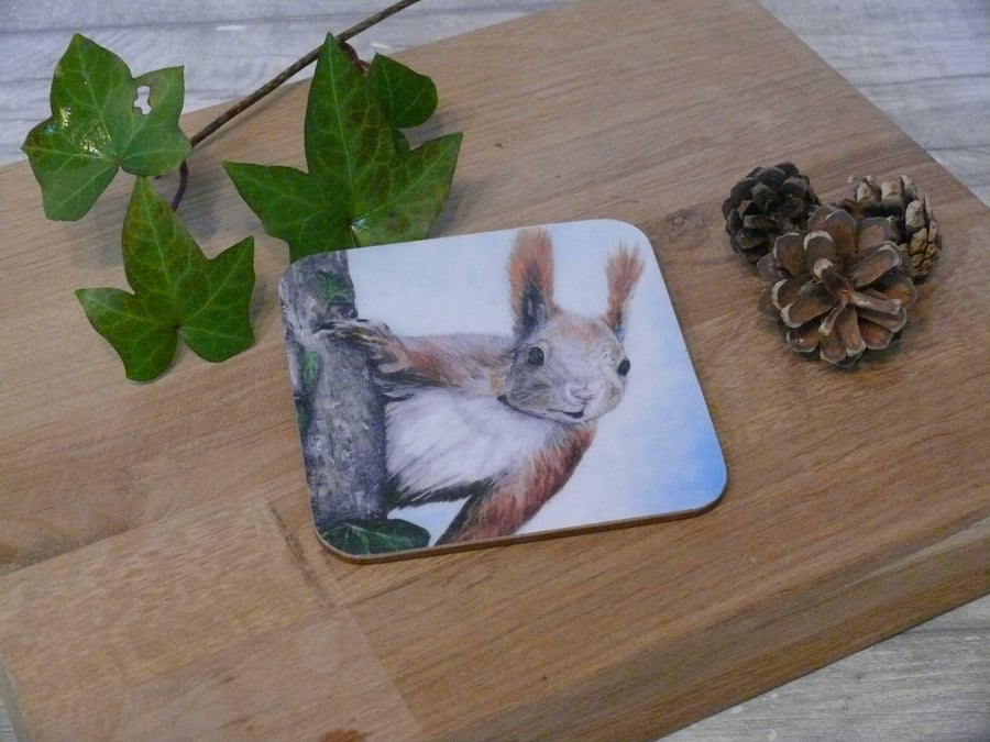 'I see you!' Squirrel, cork backed coaster
