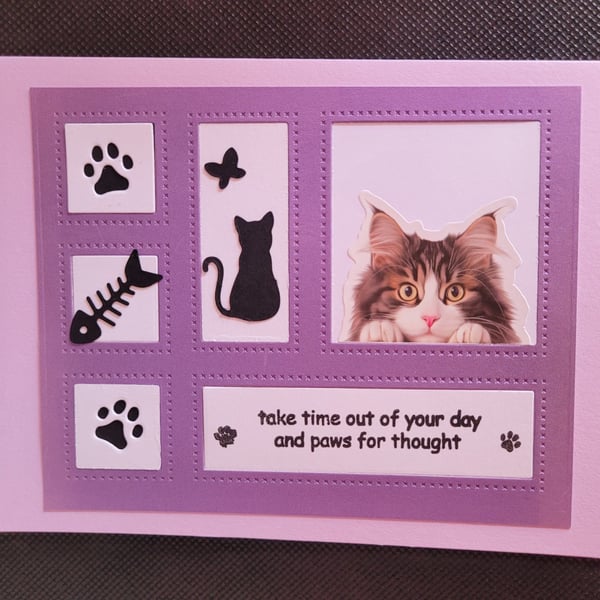 Cats blank greetings card, long-haired cat, windows