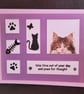Cats blank greetings card, long-haired cat, windows