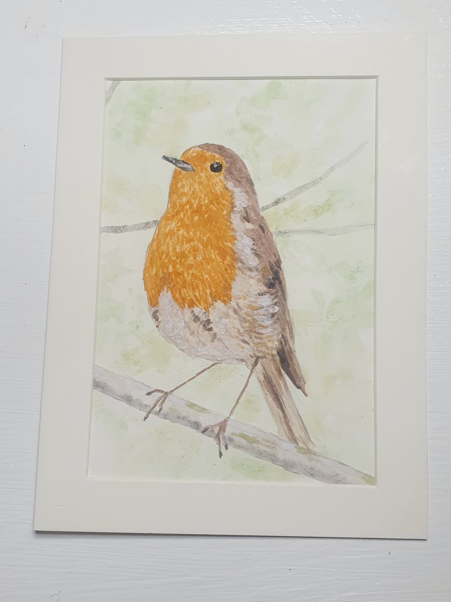 Robin art painting 