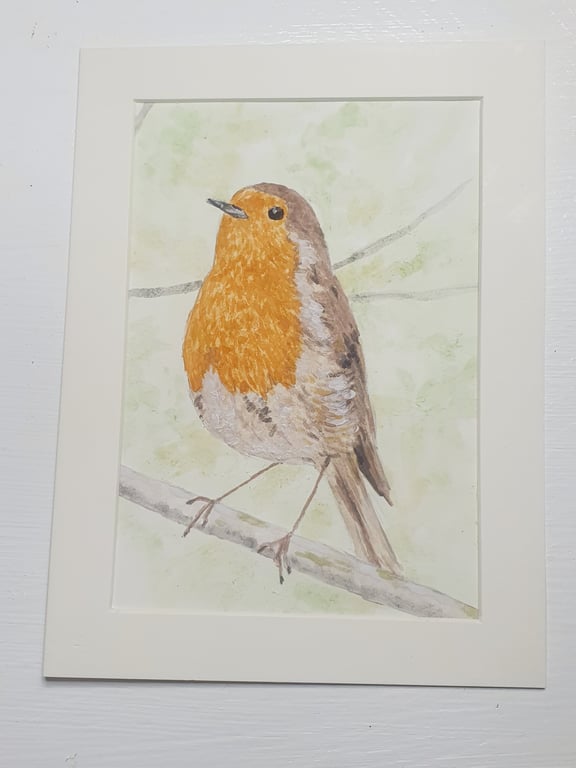 Robin art painting 