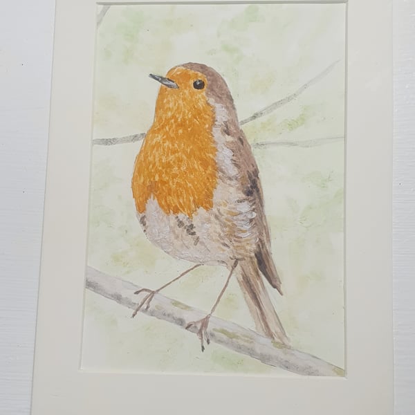 Robin art painting 
