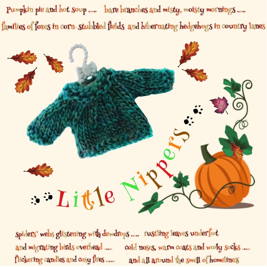 Reserved for Kat - Little Nippers’ Turquoise Jumper