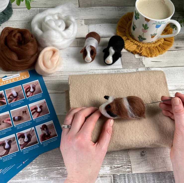 Needle felting kit Guinea pigs. Learn to make... Folksy