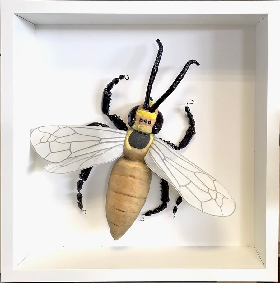 Ceramic Porcelain Bug Wasp- Jordan