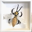 Ceramic Porcelain Bug Wasp- Jordan