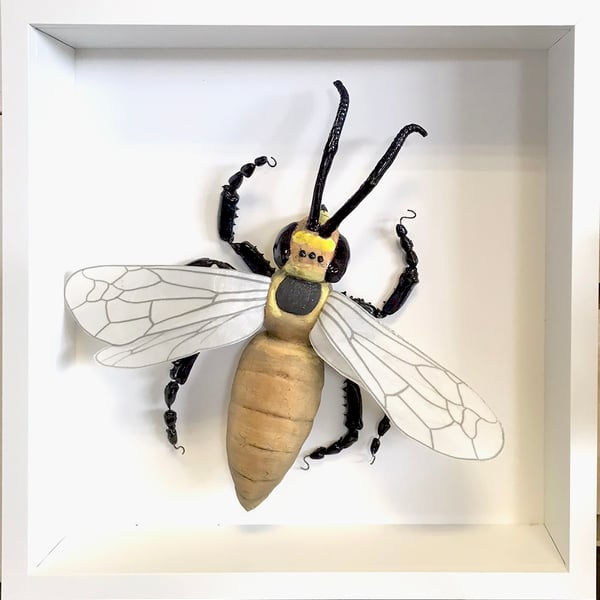 Ceramic Porcelain Bug Wasp- Jordan