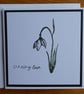 Sending Love Card - Snowdrop - Image 8