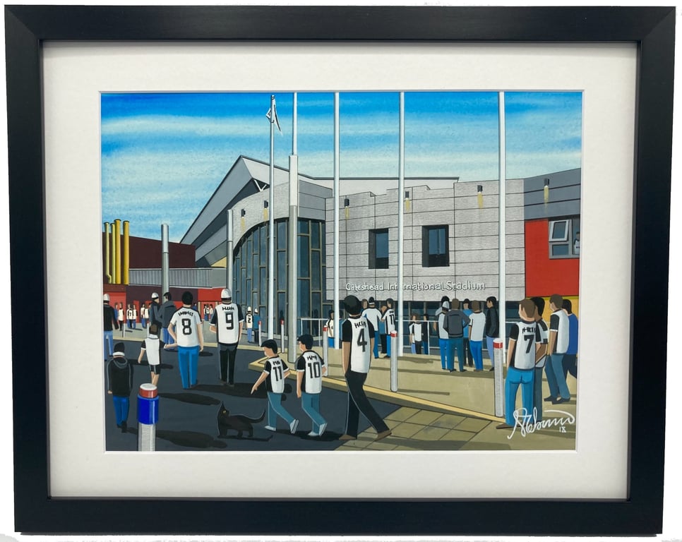 Gateshead, Framed & Unframed Fine Art Print Football Club FC, Stadium Gift