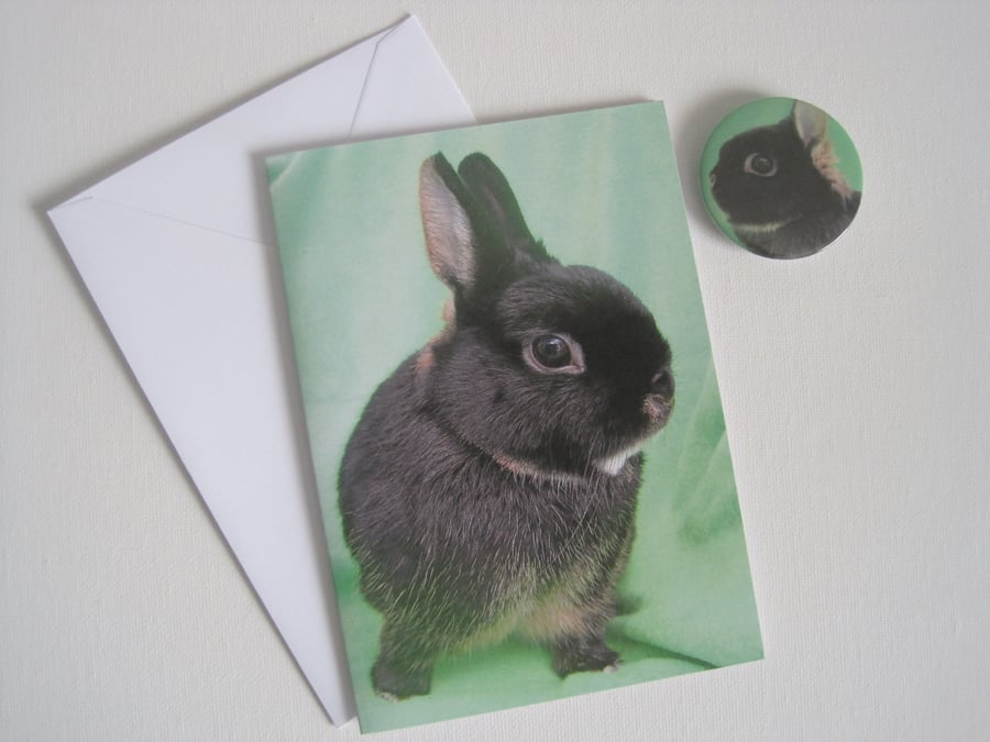 Bunny Rabbit Card and Badge set