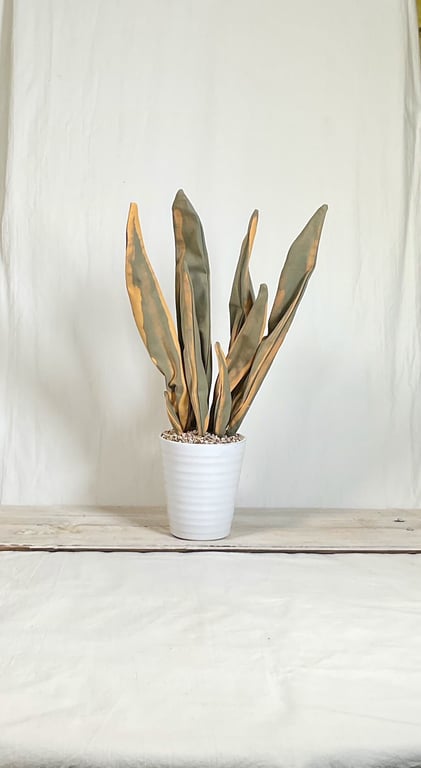 Fabric house plant. Easy care house plant. Artificial houseplant ornament. House