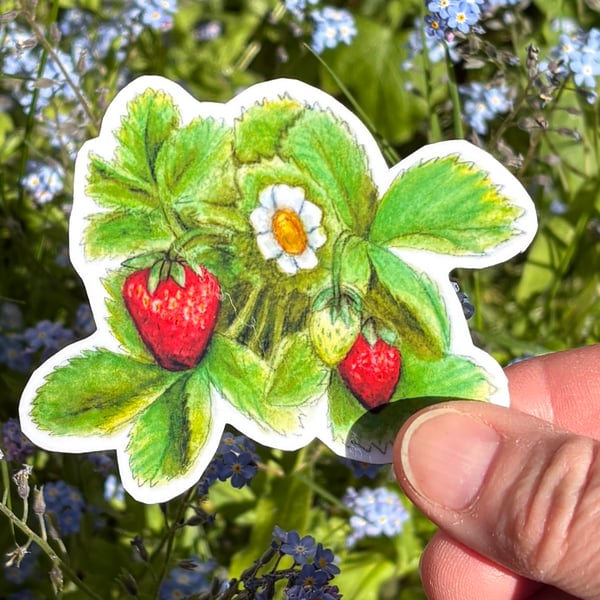 Strawberry Plant Sticker