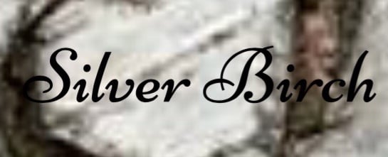 Silver Birch Handmade Jewellery 