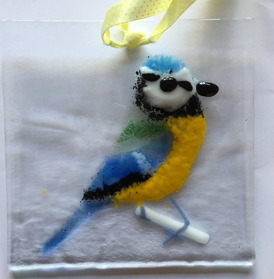 Blue tit on branch. Sun Catcher.