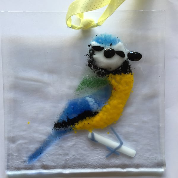 Blue tit on branch. Sun Catcher.