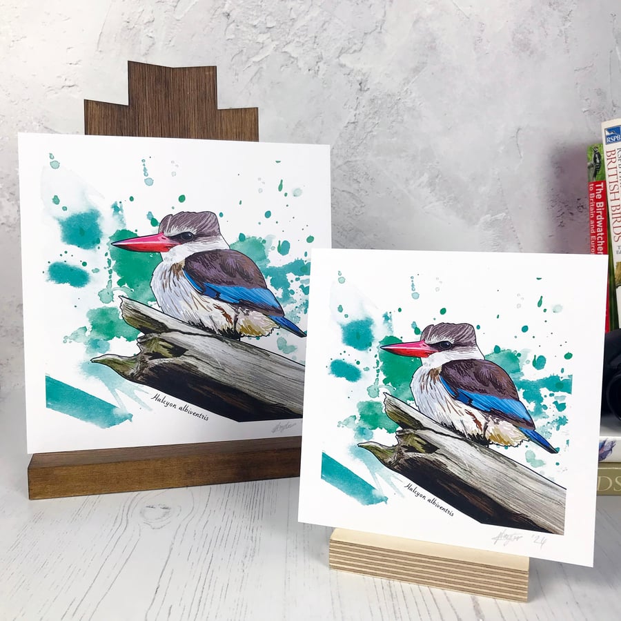 Brown Hooded Kingfisher Bird Print