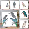6 x mixed greeting card pack of British birds 